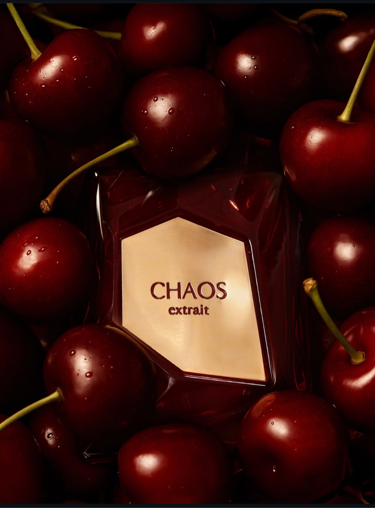 CHAOS EXTRAIT 2025